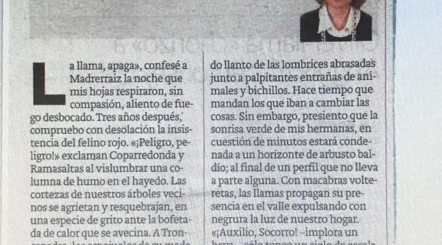 DIARIO LA VERDAD DE ALICANTE